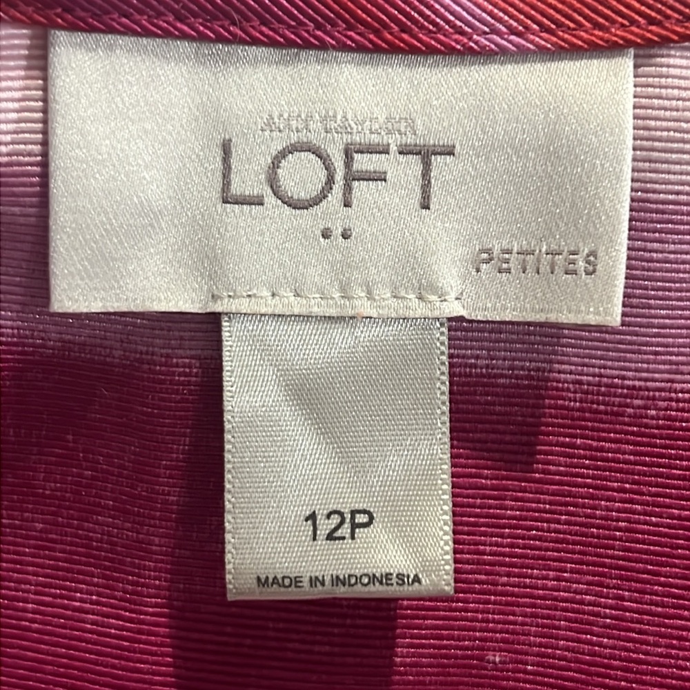 Loft EC Shades of pink striped sleeveless fit and flare dress. Size 12 Petite - Picture 2 of 6